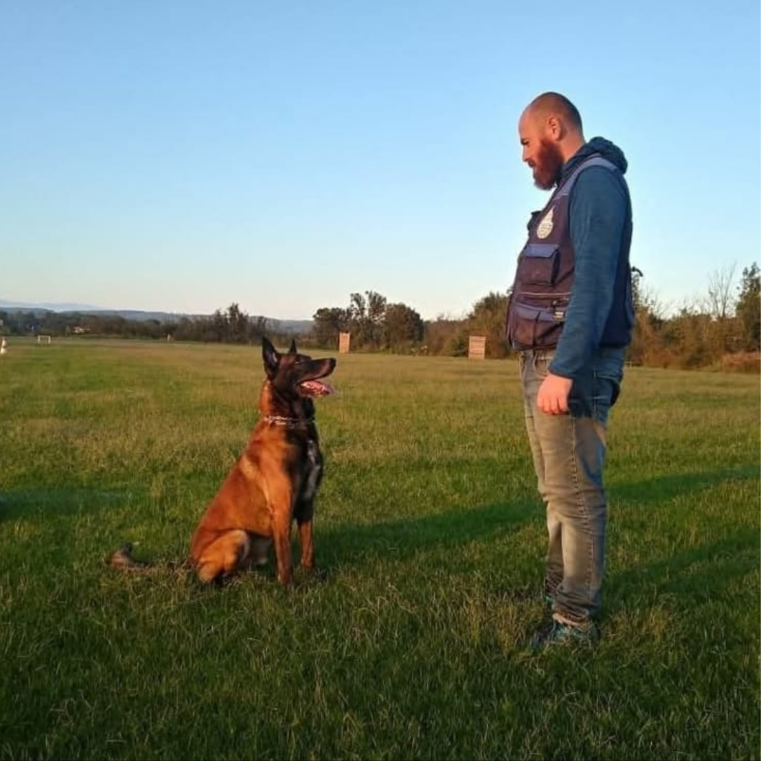 Adiestramiento Canino Tenerife